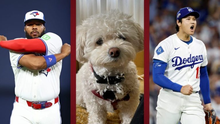 Thrilling World Series settles man vs. dog prediction contest