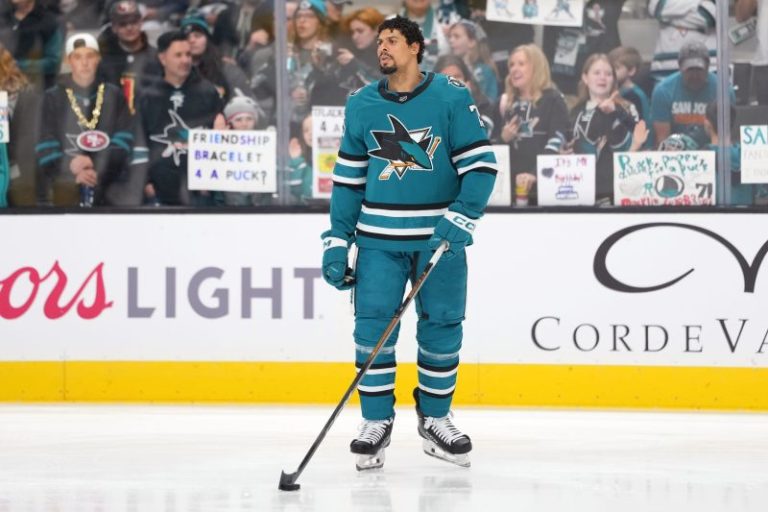 Ryan Reaves takes pride in career, being a Black player in the NHL