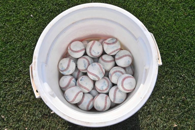 College baseball game briefly paused after pelican gets stuck in net